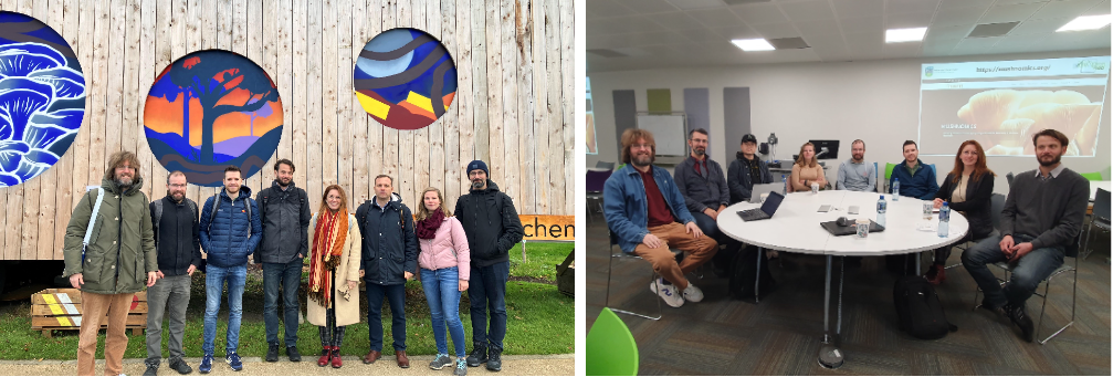 MUSHNOMICS Face to Face Meeting in Dublin